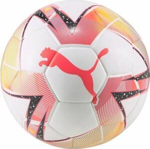 PUMA_Futsal 1 TB ball FIFA Quality Pro