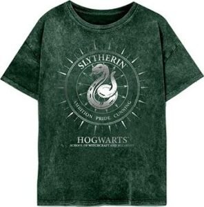 Harry Potter – Slizolinské súhvezdie